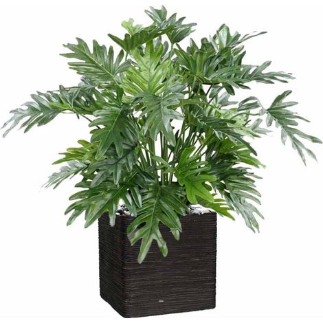 Philodendron Selloum artificiel en pot H75 cm (1/2)