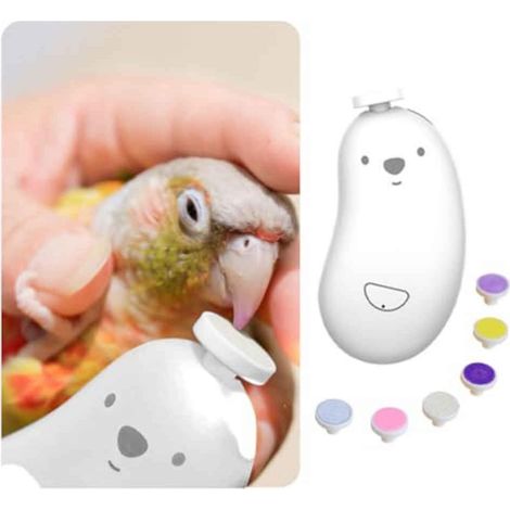 Lime à ongles et à bec pour oiseaux, outil de soin sûr et silencieux, kit de toilettage complet pour perroquets, conures, calopsittes, pinsons et perruches, entretien du bec de qualité supérieure (jau