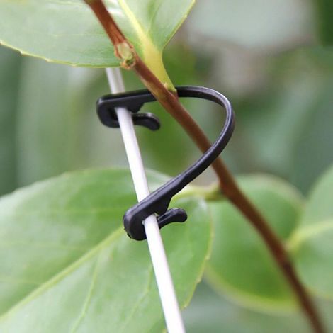 50 plastic plant clips for climbing plants (1/5)