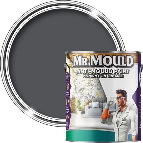 MR MOULD - Anti-Mould Paint - Premium Colour & Protection for Interior Walls & Ceilings - Classic Grey - 1L