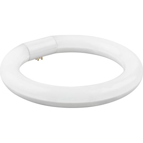 Matel circulaire LED fluorescent 40cm 32w froid
