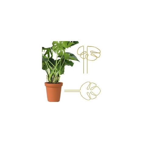 Lot de 2 tuteurs pour Monstera, support pour plantes grimpantes, support de tronc polyvalent, supports pour plantes avec un design de feuille unique pour plantes d'intérieur (1/5)