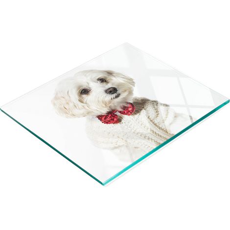 Tabla de cristal decorativa multifuncional para cocina con diseño de perro maltés, 60x52 cm. (1/5)
