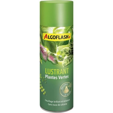 ALGOFLASH - Pulidor de Plantas Verdes 250 mL