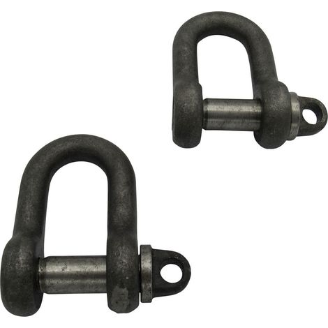 X2 0.25 Ton Self Colour Large Dee Shackles With Screw Pin - 250KG D High Tensile Lifting Towing (1/5)