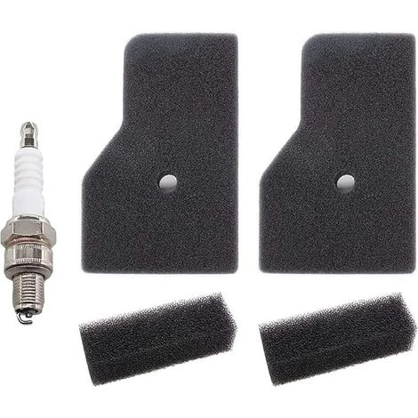 Kit de Filtre à Air pour HONDA EU2200i EU2000i EU20i EU22i Generateur, 2 Filtres à Air et 2 Préfiltre et Bougie d'allumage Accessoires, Remplacer 17211-Z07-000 et 17218-Z07-000 (1/5)