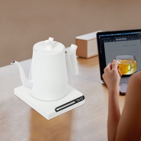 Hervidor eléctrico, hervidor de agua, hervidor de agua de acero inoxidable 304, hervidor eléctrico con filtro de té, sin plástico en contacto con el agua, preparador de té caliente (1/5)