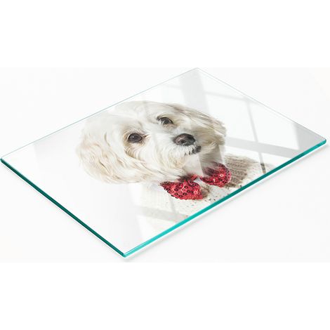 Piatto decorativo multifunzionale in vetro a forma di cane maltese per cucina, 80x52 cm. (1/5)