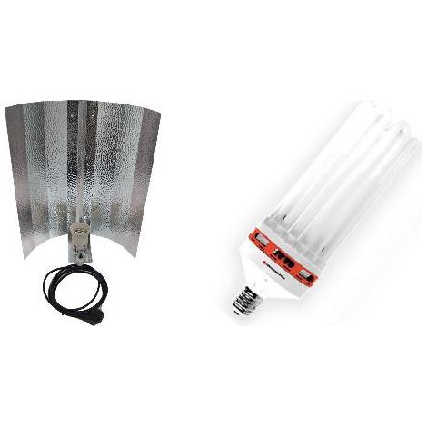 KIT lampe CFL 250W MIXTE 2