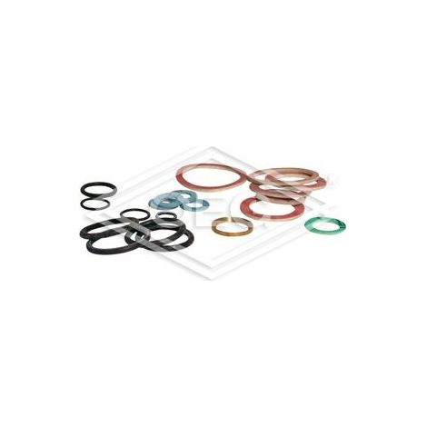 Frisquet Joints HC pour tous types jusqu'à 88 et F3AA40292 ainsi que F3AA40084