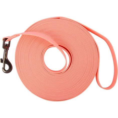 Hundeleine – Trainingsleine – Wasserdicht und robust – Für Wandern und Training – Mehrfarbig – 2 cm x 500 cm (1/5)