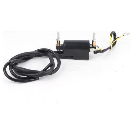Bobine d'allumage double sortie de fil remplacer pour Honda CB160 CB350 CB400 CB650 CB1000 KAWASAKI YFM350 (1/5)