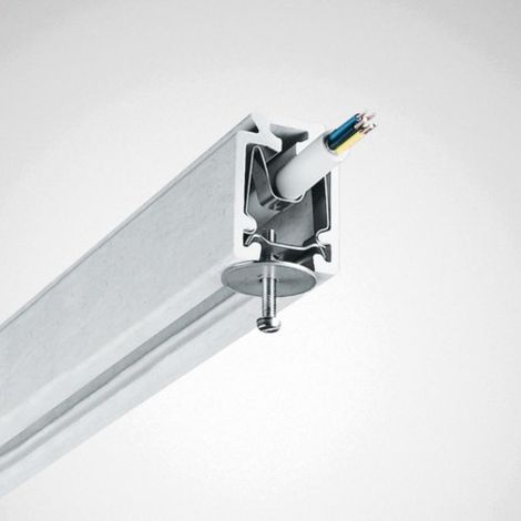Trilux Leuchtentraglasche 1 Paar vz 195