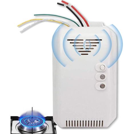 Détecteur de fuite de propane – Alarme de gaz naturel 12 V, capteur de fuite de haute précision, moniteur de détection intelligent Alerte de sécurité pour la maison, la cuisine, le camping-car (1/5)