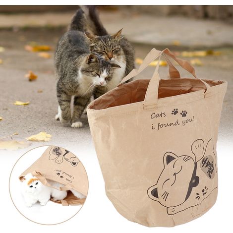 Sac de jeu portable en papier kraft de haute qualité pour chat, idéal pour les voyages en extérieur (1/5)