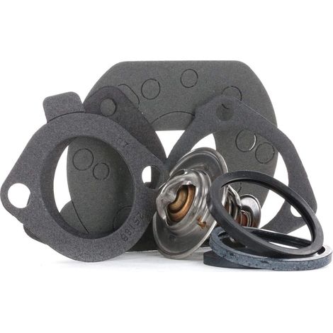 Gates TH10981G1 Termostato Refrigerante