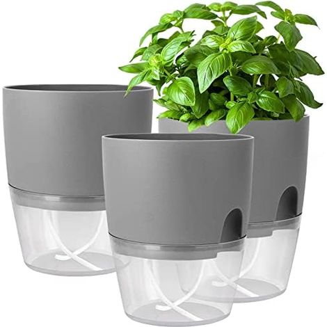 Kräutertopf Küche Set,Blumentopf Fensterbank selbstbewässernd-3er Set Kräutergarten für die Küche,18.2X 11x 15.3 cm, für frische Küchenkräuter, Grau
