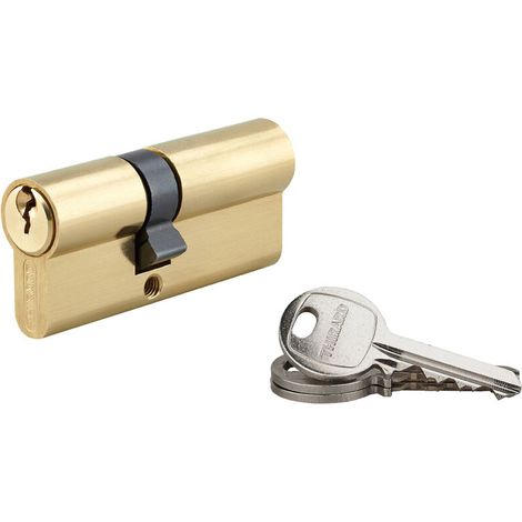 Cylindre de serrure 30x40mm – Anti-arrachement avec panneton – 3 clés crantées en acier nickelé – Pour portes PVC et aluminium (1/5)