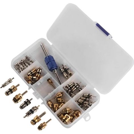 Pack of 40 R134a R12 AC Air Conditioning Valve Cores for Automotive Air Conditioning, Refrigeration, Tire Valve Stem, Removal Tool Kit (1/5)