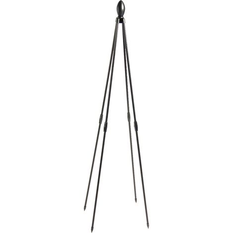 Obélisque de Jardin Tour Grimpeur Support pour Plantes Grimpantes Tour à Fleurs Verticale (1/5)