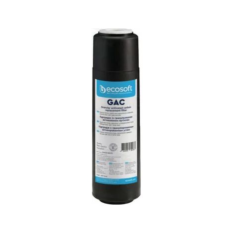 Filtre Ecosoft GAC 10 Pouces