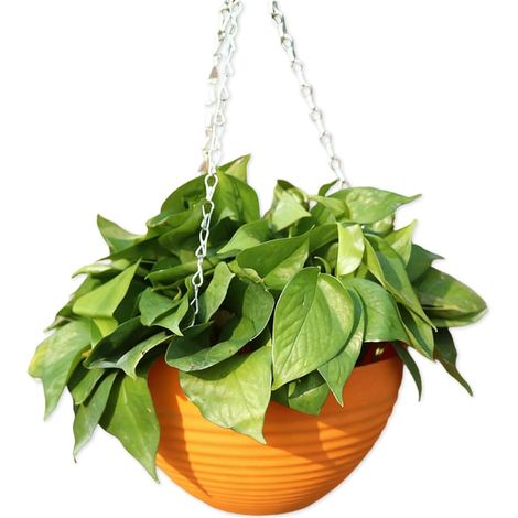 Greabuy Grand pot suspendu en résine pour plantes succulentes, format intérieur, contenant durable (1/5)