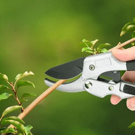 Sécateur à crémaillère avec enclume pour haies et branches de jardin – coupe précis et ergonomique (1/5)