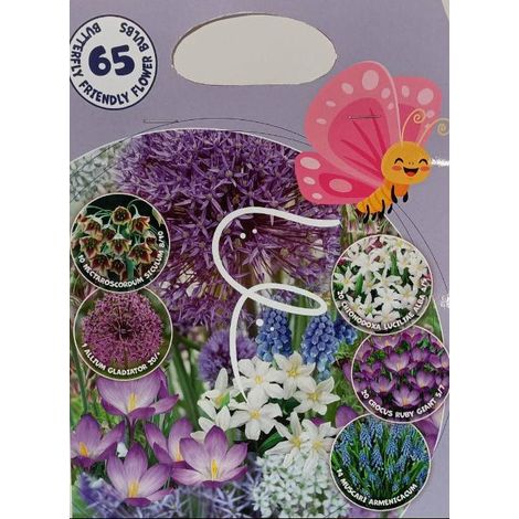 Bulbi da Fiore Amici delle Farfalle 65 Bulbi