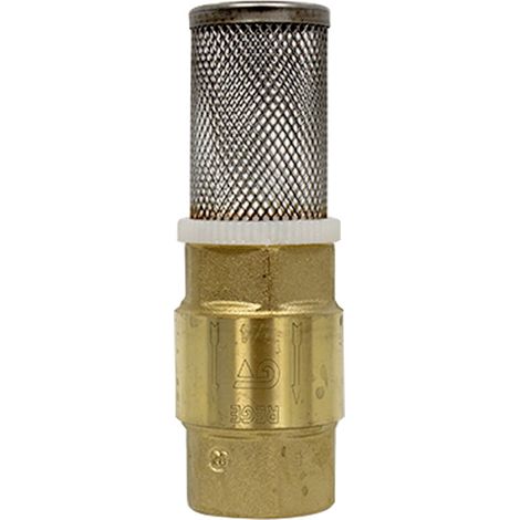 Clapet anti-retour Femelle-Femelle 3/4'' (20/27) + Filtre Inox (crépine) 3/4'' (20/27) - Sans ACS