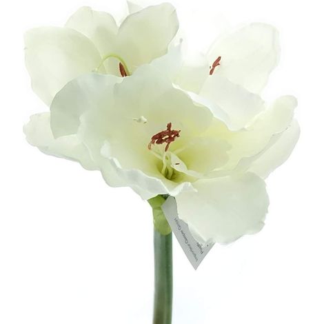 GASPER Amaryllis Weiß 66 cm - Kunstblumen (1/2)