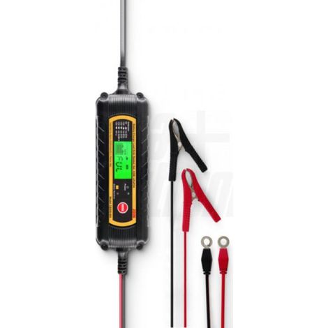 Carica batteria alpha elettronica profilo 6/12v - cb200-004