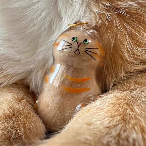 Capsule pour conserver les poils de chat (1/5)