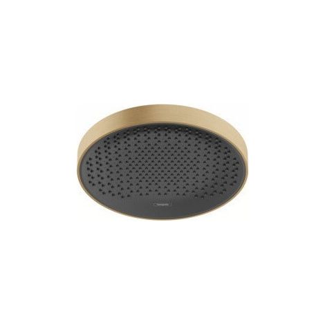 tête de douche 360 1jet bronze brossé