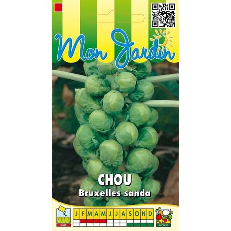 Chou de Bruxelles Sanda - 3g