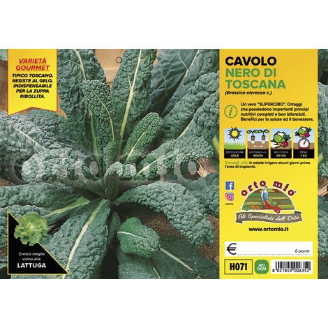 ORTO MIO Cavolo nero di Toscana