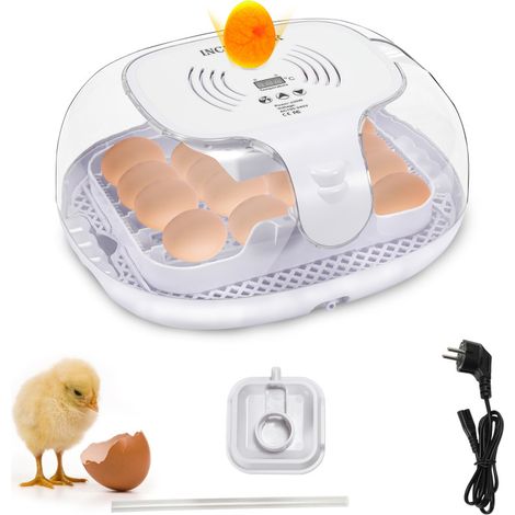 SWANEW Incubatore Con Lampada Sperauova Inclusa Uova Professionale I due modelli sono facoltativi 16 uova Bianco grigio (1/5)
