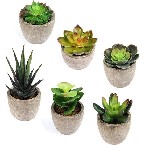 Lot de 6 plantes succulentes artificielles en pot, imitation plantes naturelles. Petites plantes artificielles décoratives pour la maison et le bureau. (1/5)