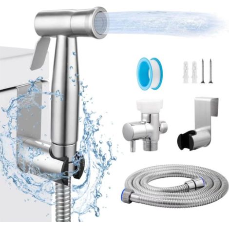 Nettoyeur à main multifonctionnel à double mode (argenté) avec tuyau et accessoires (1/5)