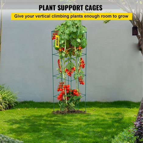 Cages à tomates 37x37x100 cm support pour plantes de jardin 3PCS, cages carrées pour plantes robustes, tours à tomates en acier end… (1/5)