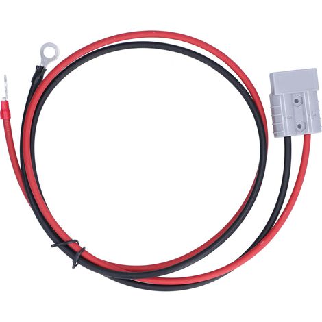 Câble d'extension 1m 50A 600V résistant à l'usure pour connexion de bornes M8 et câbles 2.5mm² (1/5)