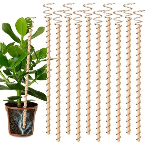 10 piquets d’électroculture pour plantes – Tiges en cuivre de 40 cm pour antennes en fil de cuivre, piquets de jardin avec kit d’anneaux tendeurs