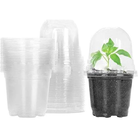 Filiyano-Lot de 10 pots de plantation transparents et isolés avec couvercles - pots de semis en plastique pour fleurs et plantes (transparents). (1/5)
