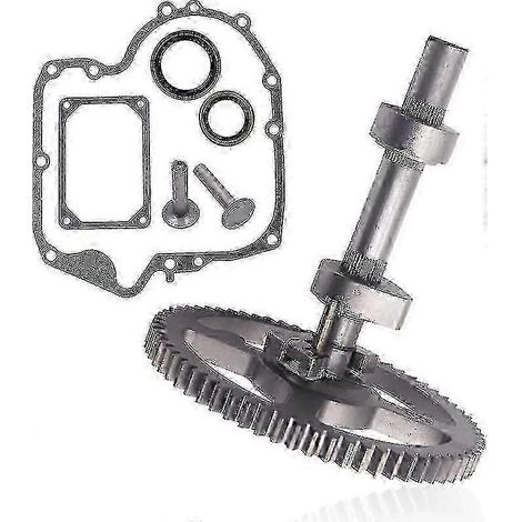 Kit d'arbre à cames 84005207 793880 compatible avec Briggs & Stratton 84005207 793880 793583 790400 792681 791942 795102 avec joint 697110 et poussoir de soupape 690564.