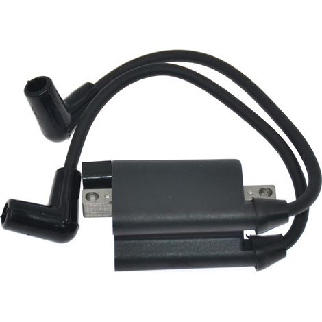 Bobine d’allumage pour voiturette EZGO (03‑), 72866G01 (1/5)
