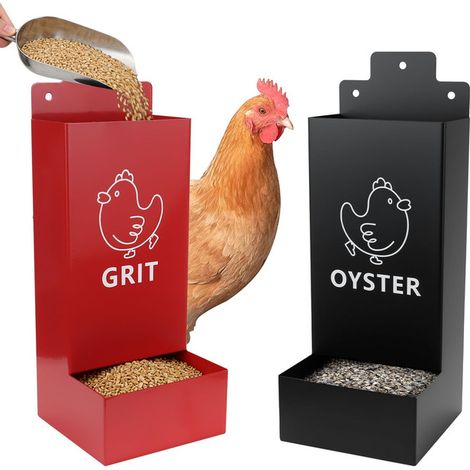 Distributeur de nourriture et suppléments pour poules, mangeoire murale en métal pour volailles, grit et coquilles d'huîtres, lot de 2