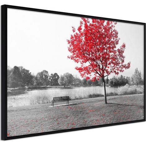 Affiche Murale Encadrée "Autumn Colours I" 60 x 40 cm Noir