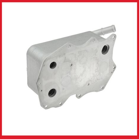 Refroidisseur de Boîte de Vitesses 057117021P - Compatible avec Audi Q7, 4LB 07-15 (1/4)