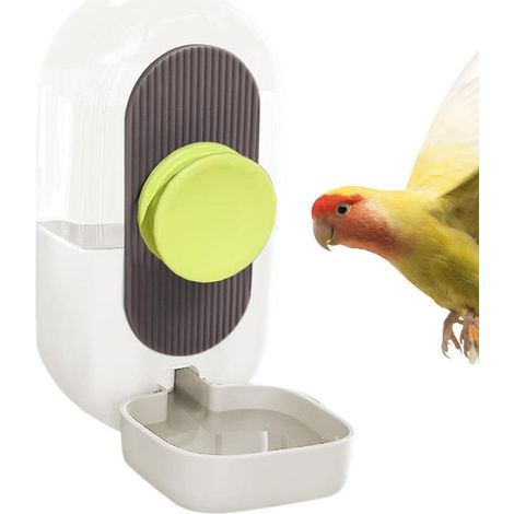 Abreuvoir automatique transparent pour oiseaux. (1/5)