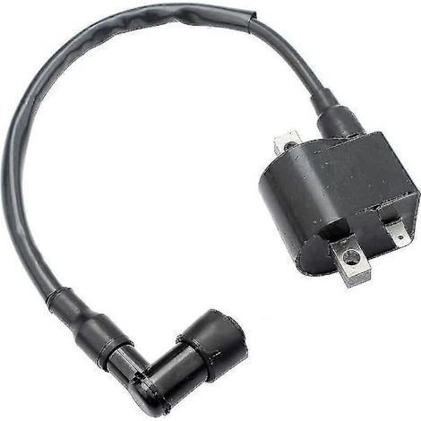 Bobine d'allumage 33410-35340 pour quad Suzuki LT50 LTA50 50cc AX100 AK100 FR80 Jr50 (1/5)