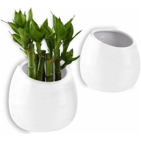 BUNTHAUS Lot de 2 jardinières murales en céramique blanche 10 cm – Pour plantes aériennes et succulentes – Décoration intérieure et extérieure